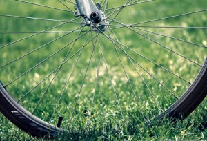 Bike wheel in grass