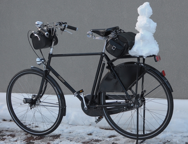 Snow bike